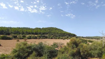 Rustic Finca in Castellitx de La Pau photo 10