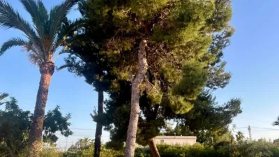 Casa – Elx / Elche, el Baix Vinalopó - Vista 5