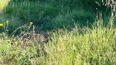 Terreno en venta en Partida Altabix - Más