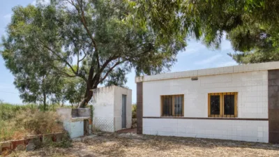 Rustic finca on Marina Street photo 4