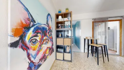 Apartment on Jalisco Street photo 13