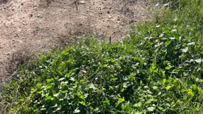 Terreno en venta en Partida Altabix - Vista 5