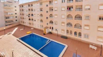 Pis – Torrevieja - Vista 3