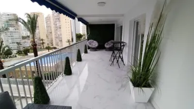 Apartment on Calle Alcalde Manuel Catalan Ch photo 4