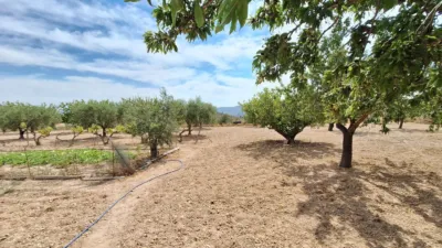 Rustic farm on Calle Solana La photo 58