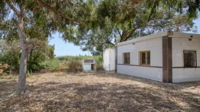 Rustic finca on Marina Street photo 17