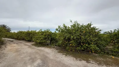 Terreno en venta en Calle San Miguel de Salinas - Vista 5
