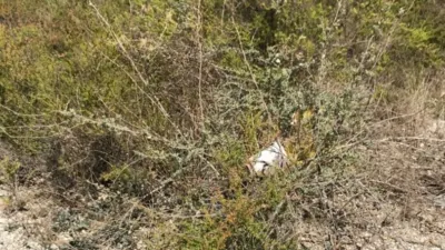 Terreno en venta en Daimes - Vista 4