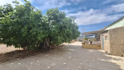 Rustic farm on Calle Solana La photo 62