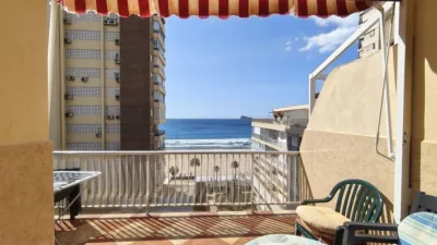 Pis – Benidorm - Vista 4
