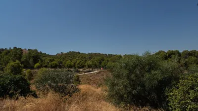 Apartment in La Alberca photo 40
