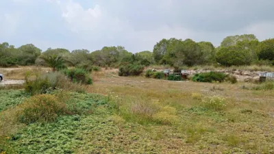 Casa – Elx - Elche - Vista 2