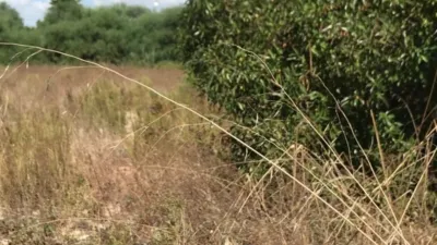 Terreno en venta en Daimes - Més