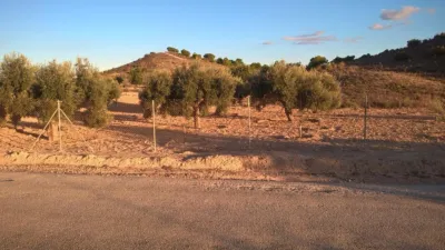 Rustic Finca in El Pedrusco photo 5