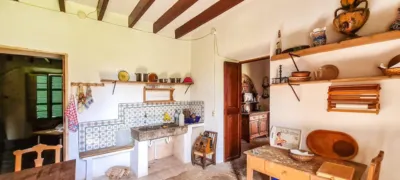 Rustic finca in Sineu photo 15