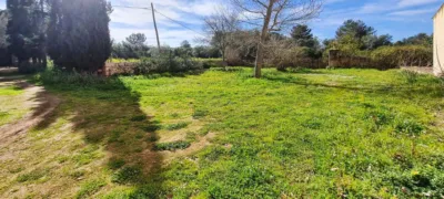 Rustic finca in Sineu photo 20