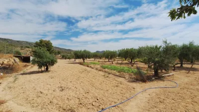 Rustic farm on Calle Solana La photo 64