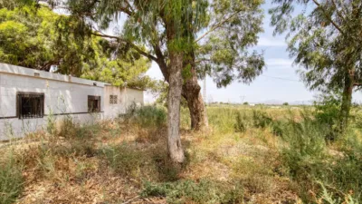 Rustic finca on Marina Street photo 18