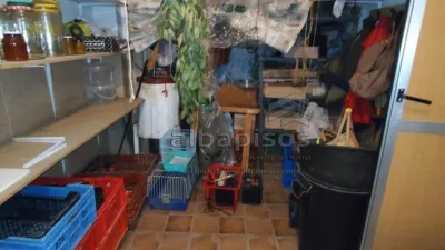 Apartment in El Pilar photo 30