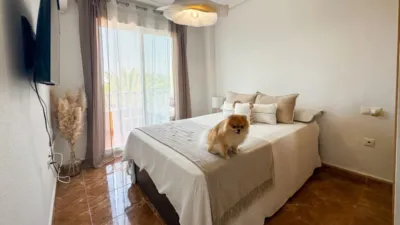Apartment on Avenida del Puerto photo 16