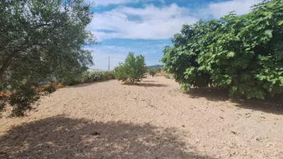 Rustic farm on Calle Solana La photo 61