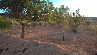 Rustic Finca in El Pedrusco photo 3