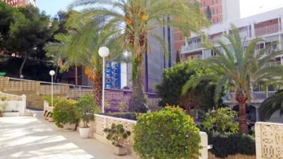 Apartment on Calle Alcalde Manuel Catalan Ch photo 6
