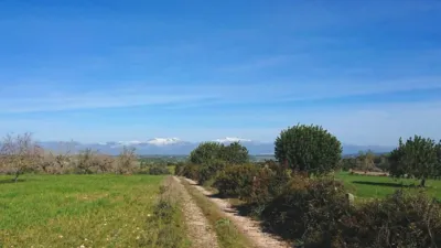 Rustic Finca in Castellitx de La Pau photo 4