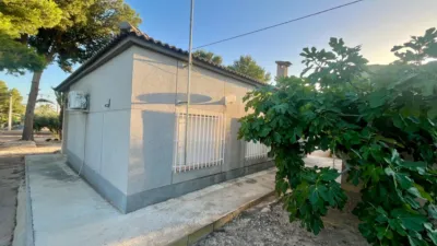 Casa – Elx / Elche, el Baix Vinalopó - Més