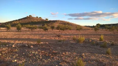 Rustic Finca in El Pedrusco photo 6