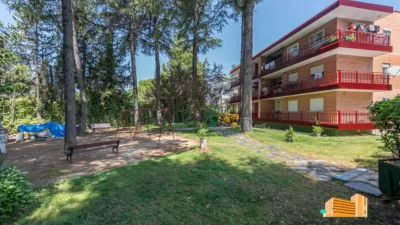 Apartment on Carretera de la Granja photo 3