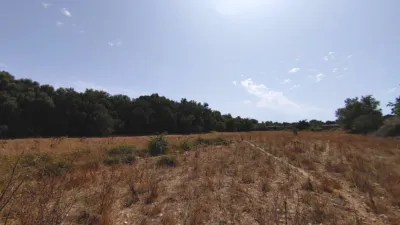 Rustic Finca in Castellitx de La Pau photo 42