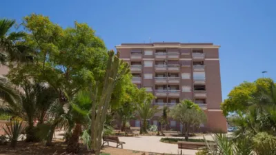Apartment in Gran Playa photo 27