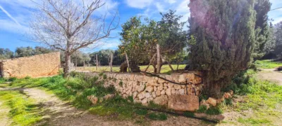 Rustic finca in Sineu photo 21