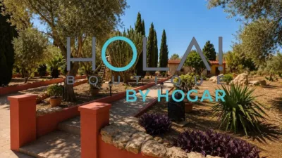 Rustic Finca in Algaida Campo photo 4