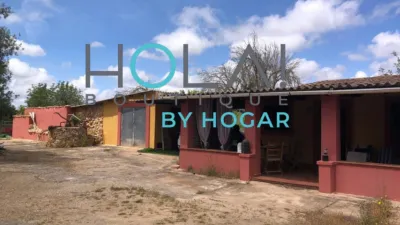 Rustic Finca in Algaida Campo photo 35