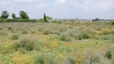Casa – Elx - Elche - Vista 5