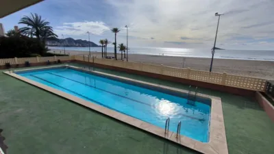 Pis – Benidorm - Vista 3