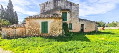 Rustic finca in Sineu photo 3