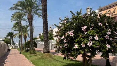 Casa – Santa Pola, Sierra Mar, Gran Alacant - Vista 5