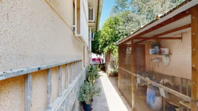 Chalet in Sangonera La Seca photo 3