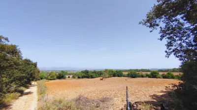 Rustic Finca in Castellitx de La Pau photo 46
