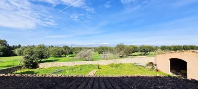 Rustic finca in Sineu photo 5