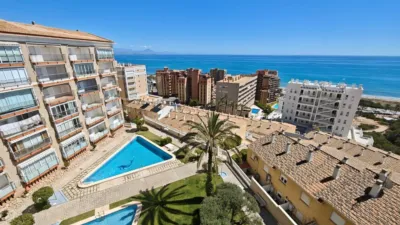 Pis – Elx - Elche - Vista 2