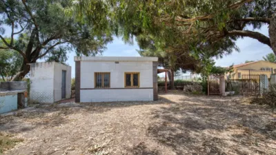 Rustic finca on Marina Street photo 15