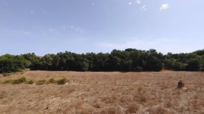 Rustic Finca in Castellitx de La Pau photo 39