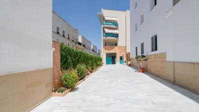 Apartment on San Jacinto Street photo 23