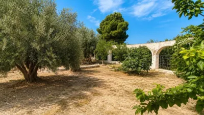 Rustic Finca in Pechina Centre photo 33