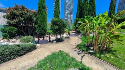 Apartment on President Adolfo Suarez Street photo 31
