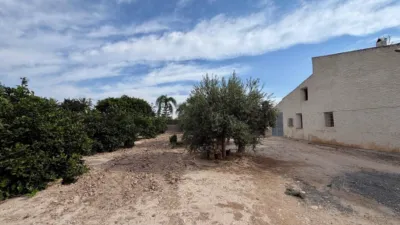 Casa – Elx - Elche - Vista 3